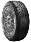 205/60R17 93 H 3PMSF COOPER DISCOVERER WINTER