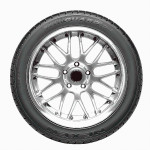 225/55R16 99 V XL FR 3PMSF NEXEN WINGUARD SPORT