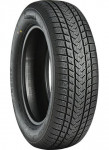 245/45VR17 GRIPMAX TL SUREGRIP EWINTER XL 99V