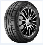 255/35R19 96 W XL FIREMAX FM601